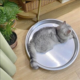 铝盆猫窝特e大号猫咪纯铝猫锅小型犬夏季冰凉宠物狗窝夏天冰垫降