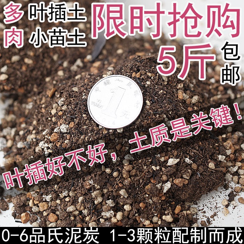 现货生石花土多肉植物专用t土通用植料介质叶插育苗专用播种多肉