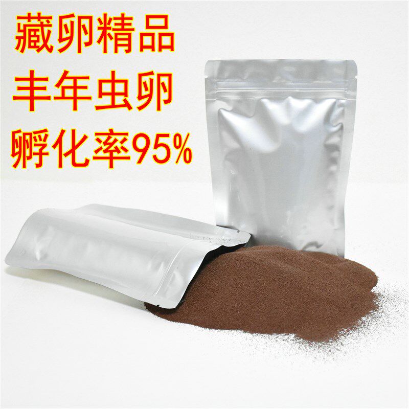 新品精品藏卵可孵k化丰年虾卵大红卵孵化率95% 卤虫卵孔雀鱼苗开