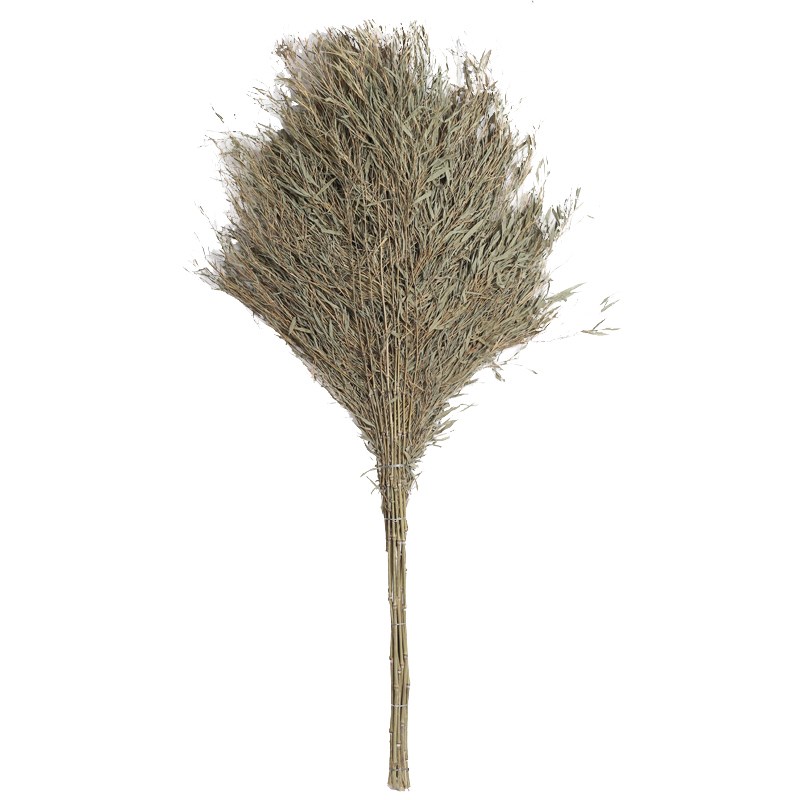 大扫帚扫马路竹扫把户外大扫把扫院子庭院公园环卫物业学校大竹扫