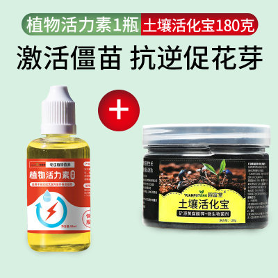 急速发货植物活力素浓缩营养液养花通用发财树活力素101家用花卉