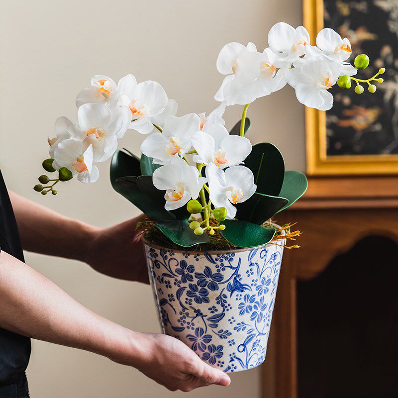 现货收获小屋裂纹釉陶瓷花盆种植蝴蝶兰花盆栽装饰花瓶复古田园多