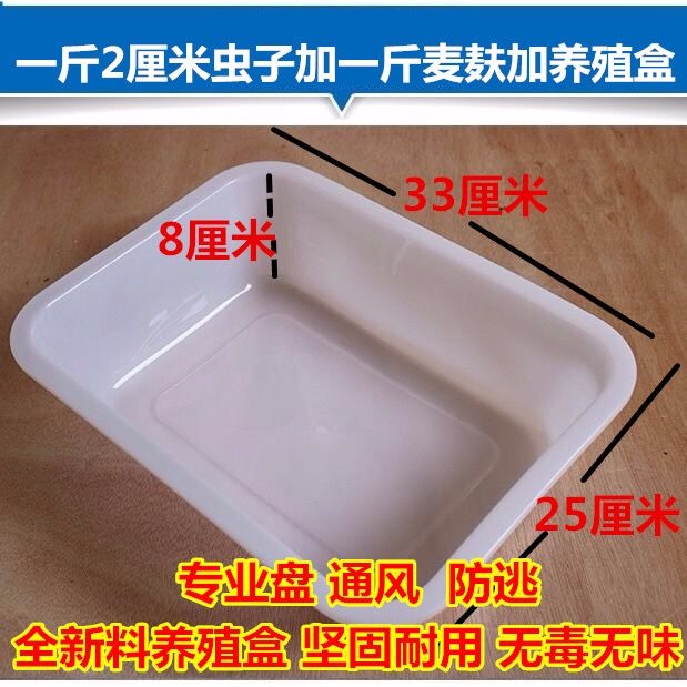 面包虫 黄粉虫活虫 鹦鹉鱼 金龙鱼 乌龟 画眉鸟石蛙饲料