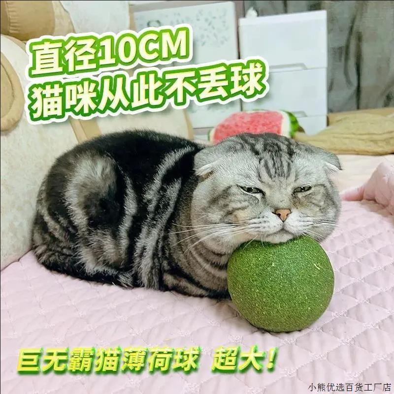 猫玩具超大猫薄荷球自嗨解闷神器猫猫小猫逗猫棒宠物猫咪用品磨牙