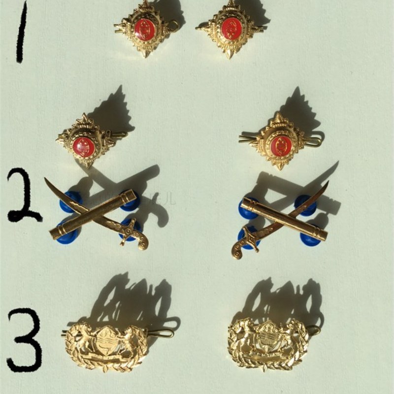 英军式非洲博茨瓦纳军衔星和领章