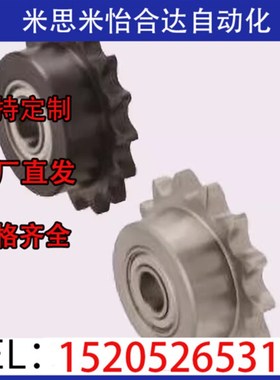 惰轮链轮DRCBW35 40 50 60-10 11 12 13 14 15 16 17 18 19 20