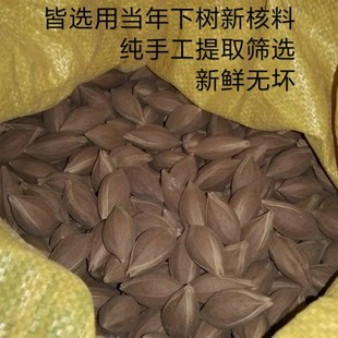 留皮衣木威子核仁 乌橄榄仁 黑橄榄仁 黑榄仁 乌榄仁 榄佛仁 榄仁