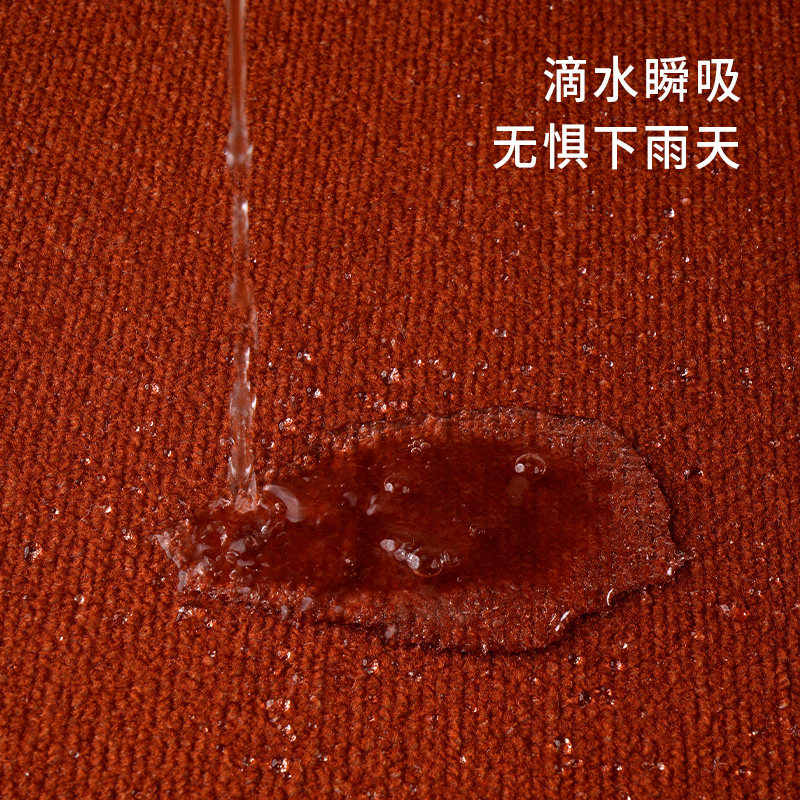 红色喜庆入户门地垫家用玄关防滑脚垫大门口进门垫可裁剪高级地毯,居家布艺,入户地垫,淘宝优惠券,粉丝福利购,淘宝优惠卷