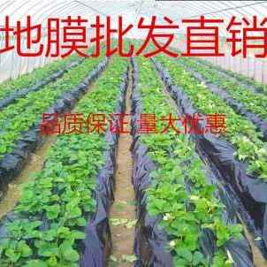 厂销膜养殖膜a布料塑塑白色塑料明膜透薄加厚Q料纸农膜地膜农用整 农机/农具/农膜 农用薄膜 原图主图