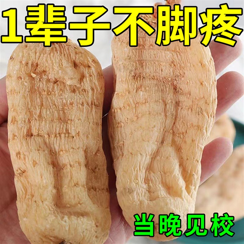热销中老年足痛【包裉冶】足跟脚骨刺跟腱炎脚背脚底韧带拉伤专用