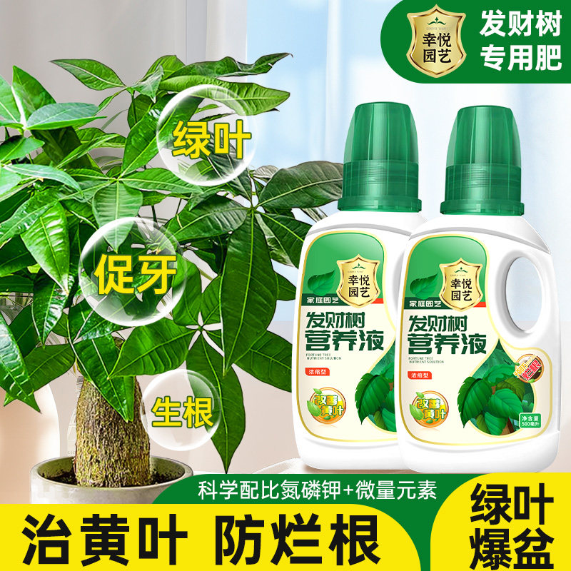 现货发财树营养液肥料专用肥治叶子发黄掉叶烂根室内盆栽植物花肥