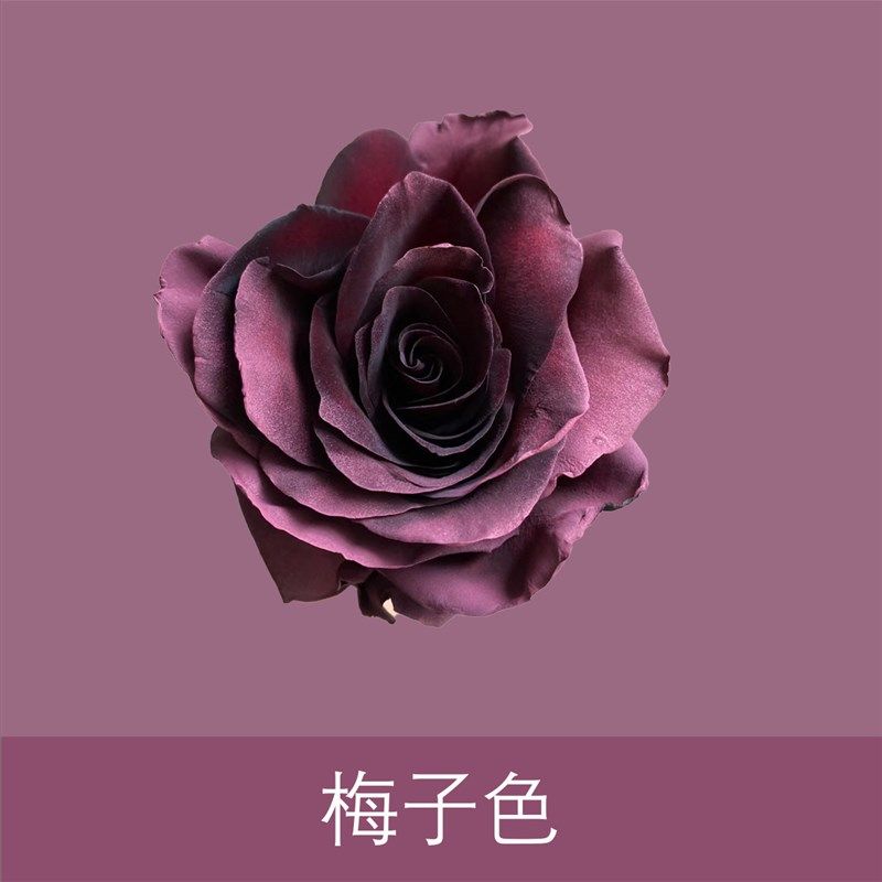 鲜花包装材料干h花喷雾染色剂乌梅子酱鲜花喷漆花艺喷色剂鲜花喷,鲜花速递/花卉仿真/绿植园艺,花艺材料,淘宝优惠券,粉丝福利购,淘宝优惠卷