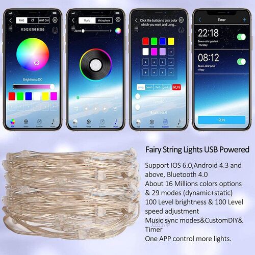 Bluetooth Christmas Fairy Light RGB App Control Outdoor Fest