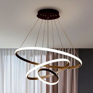 Adjustable Light Hanging 速发Nordic LED Luxury Pendant