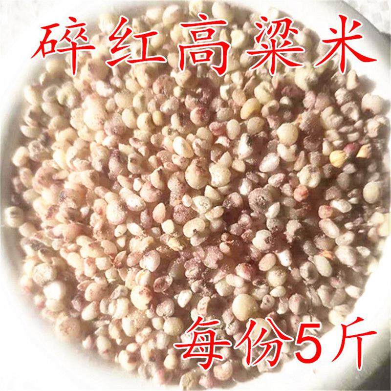 极速发货百畜兴旺糯高粱米u碎高粱米10斤带皮红高粱碎米酿酒专喂