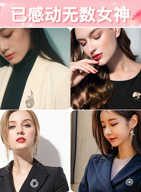 胸针套装高档女胸花别针奢华气质扣针衬衣配饰设计感小众高级感