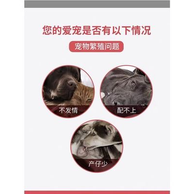 速发狗狗配种药宠物猫咪发情期药兽类通用生育酚提高精子活力促情