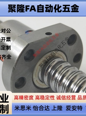 滚珠丝杠BSWE/BTWE/BTWP0802 1002 1204 1510 1520 2010 2510 05