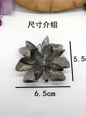 新款高档水晶钻鞋花百搭s时尚女鞋装饰配件凉拖鞋花手工流行粘花