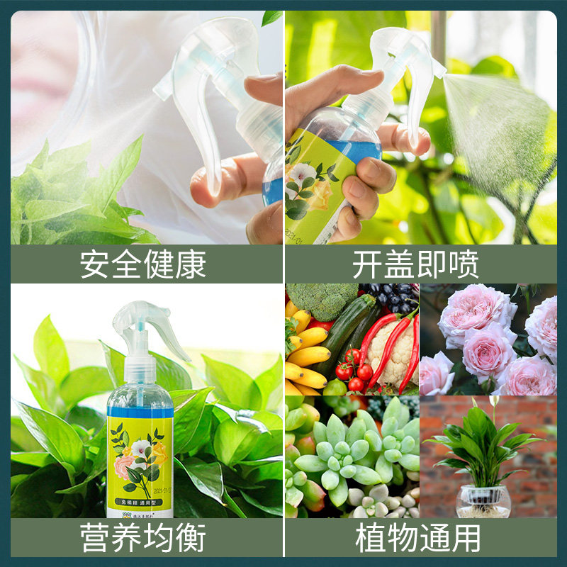 现货植物营养液免稀释喷施型w绿萝液体叶面肥养花肥料通用型补充