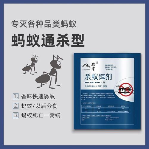 除灭蚂蚁药粉家用室内厨房全窝端灭蚁神器驱杀黑红蚂蚁饵剂无毒