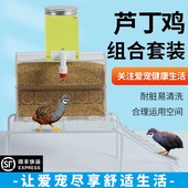 芦丁鸡饲料盒鹌鹑防溅防刨透明食盒宠物鸡饲料超大号自动喂食器