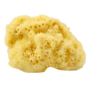 希腊天然海绵沐浴球婴儿洗澡海绵儿童洗澡棉浴球宝宝抗菌洗脸海绵