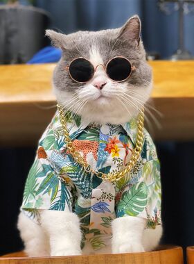 狗狗衬衫夏季薄款泰迪空调服猫咪防掉毛衣服大型犬拉布拉多衣服