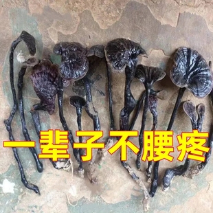 急速发货腰椎间盘疼痛贴膏腰椎突出压迫神经药腰肌劳损腰痛腰疼专