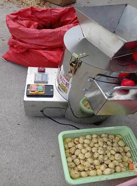 板栗脱皮机去皮机锥m栗剥仁栗子扒皮电动小型脱壳器剥壳去壳削皮