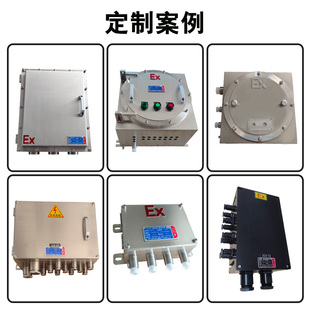 不锈钢防爆接线箱BT6CT6模块空箱端子分线箱监控箱弱电箱接线盒柜