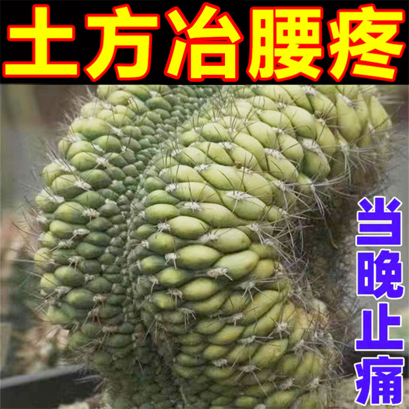 热销专攻】腰椎疼痛腰脱腰突压迫神经腰疼腰痛克星缓解腿脚麻木特