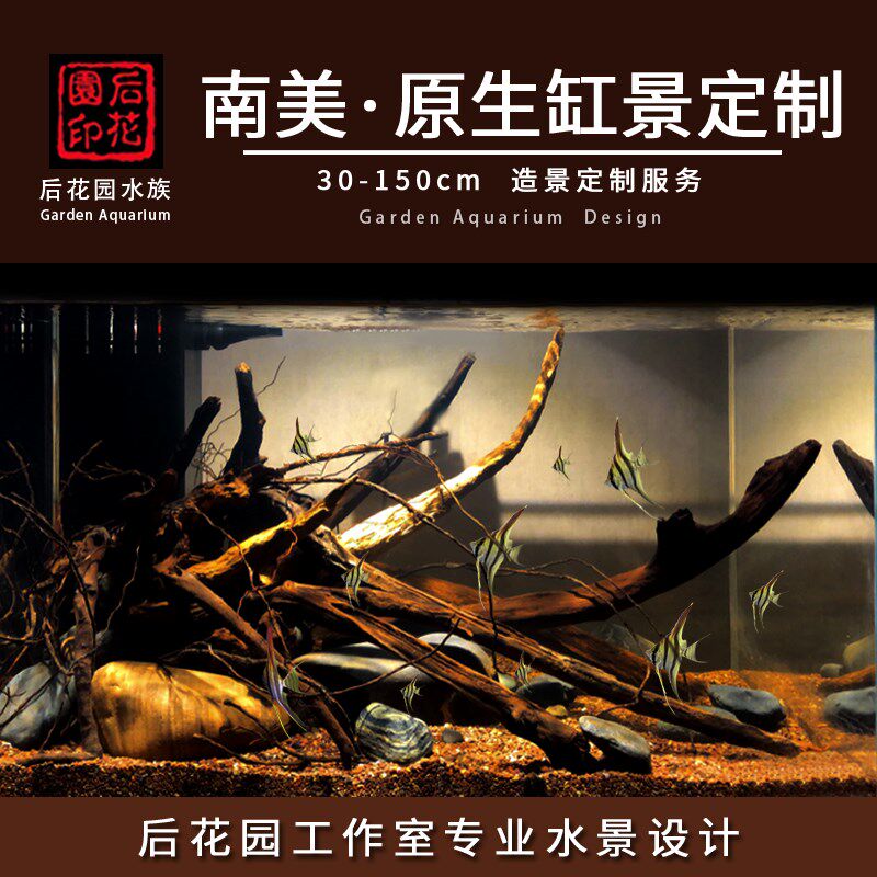 南美景定制 南美景 原生态缸 原生缸定制 沉木造景t 鱼缸造景 造