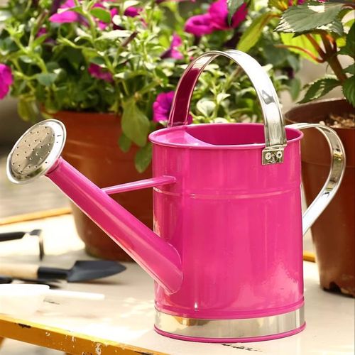 美式田园铁艺粉红玫红浇花桶洒水桶洒水壶浇花壶