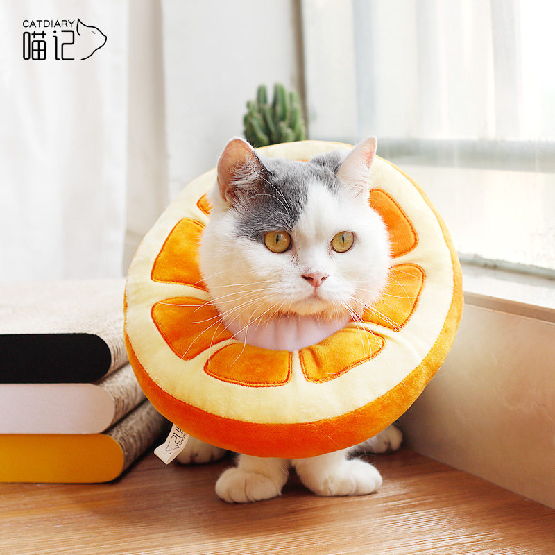 新品水果伊丽莎白圈o狗狗猫咪耻辱圈宠物大型犬防舔咬头套罩绝育