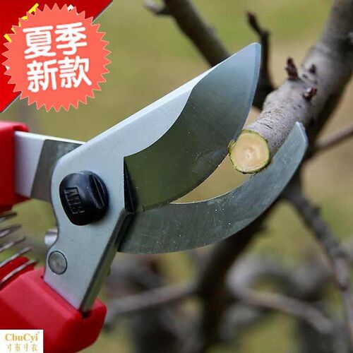 新款修枝剪剪花枝剪fw刀修剪树枝剪刀园林剪子葡萄果树剪园艺剪刀