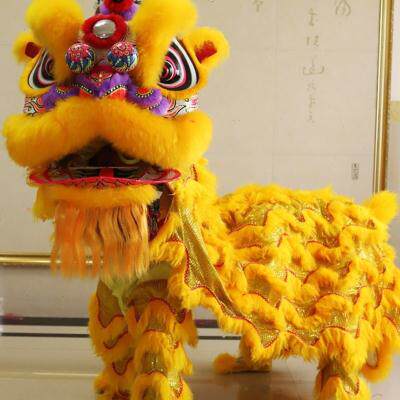 双人舞男女整套表演舞龙威风锣鼓演出 舞狮道具全套狮头开场打鼓