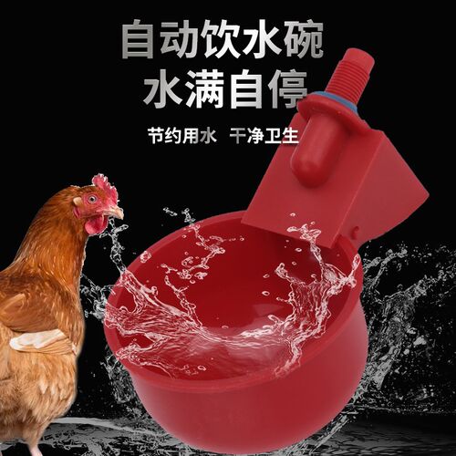 养鸡用自动饮水器小鸡鸽子自动喂水喝水碗养殖鸡鸭鹅喂水器水壶桶