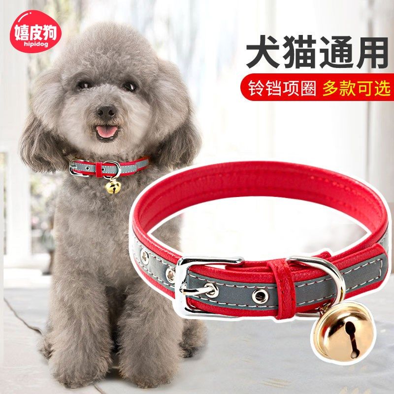 狗狗项圈中型犬小型犬狗狗铃铛狗牌定制泰迪项圈猫牌宠物狗狗用品,宠物/宠物食品及用品,项圈/肩带,淘宝优惠券,粉丝福利购,淘宝优惠卷