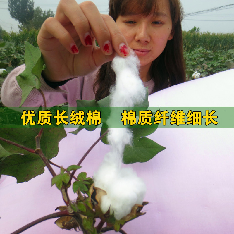 棉花被子手工棉被定做秋冬季学生儿童单双人被芯棉絮床垫褥子冬被,床上用品,棉花被,淘宝优惠券,粉丝福利购,淘宝优惠卷