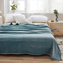 牛奶珊瑚b绒毛毯子法兰绒毯冬季 床垫子加绒加厚床单人铺床上用褥