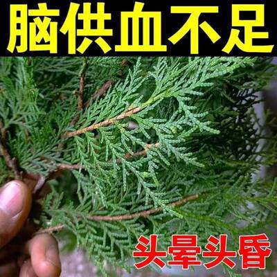 速发【一夜见校】止头晕膏眩晕药缓解颈椎压迫供血不足头昏脑胀专