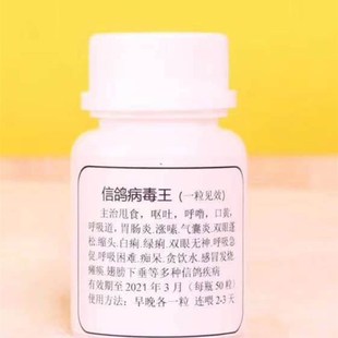 鸽子鸟斗鸡嗉囊炎涨嗉不消化口黄单眼伤风鸽痘纱门氏呼噜甩食