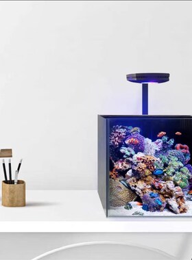 30方背滤海缸套餐二狗水族v新款玻璃小方缸珊瑚桌面新手微缸海水