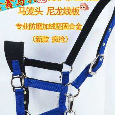 防马小牵笼全笼马头大防矮马术用品龙头磨笼S专业具头马马套磨