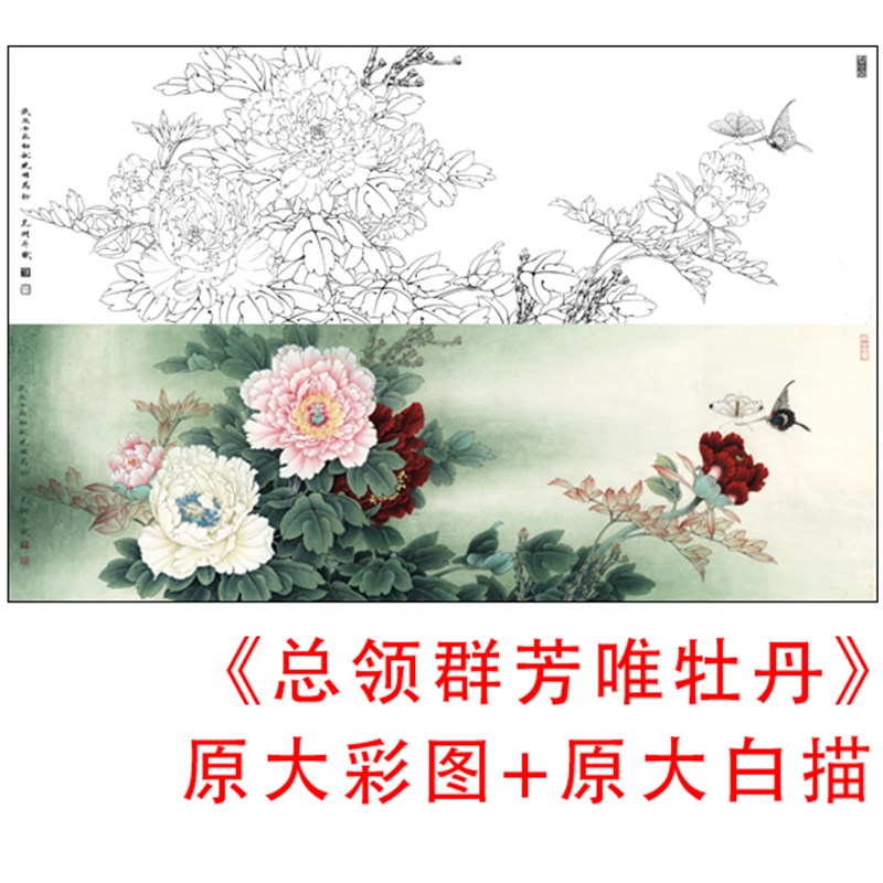 工笔花鸟白描底稿李晓明条幅牡丹-总领群芳-原大实物打印稿824C