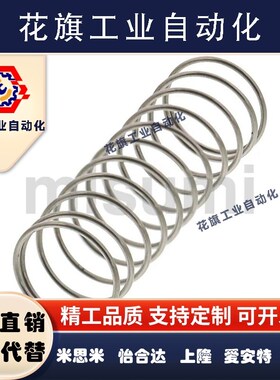 WM22-80/WF5/WR4/8/WB10/12/16/20/25/30/35/40/50/60/3/2WH6弹簧