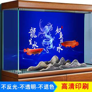 新品鱼缸背景贴纸5d立体高清图造3d布景贴纸壁纸壁画水族箱自粘装