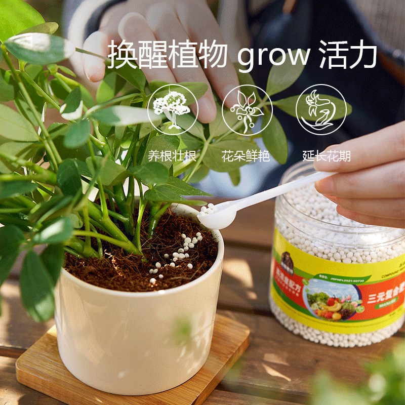 速发复合肥缓释肥月季绣球兰花绿萝蔬菜花卉植物家用通用型氮磷钾