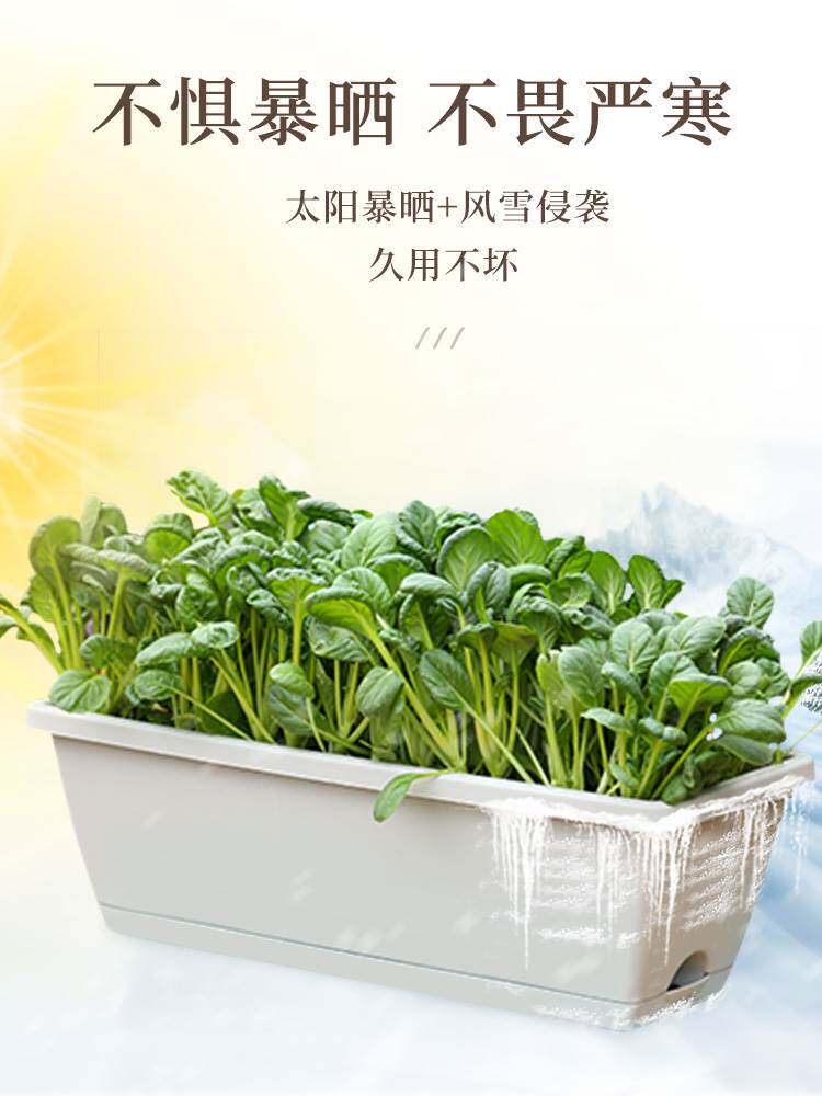 长方形花盆厂家直销塑料长条型大B号种菜神器家庭阳台壁挂花槽家